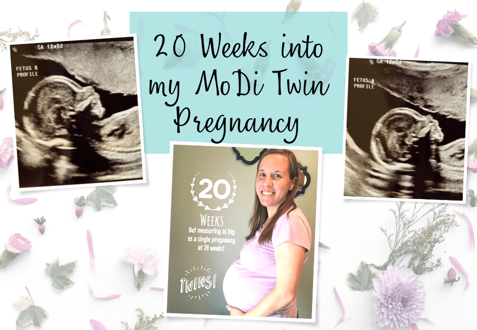 20 weeks into my modi twin pregnancy