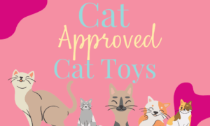 https://www.thewayitreallyis.com/wp-content/uploads/2022/05/cat-toys-940-%C3%97-650-px-1-300x180.png