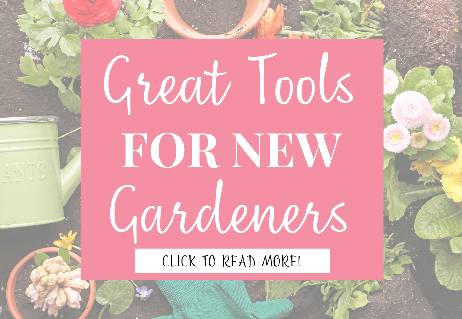 Great Tools for New Gardeners featured image