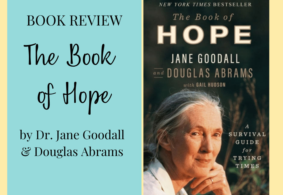 book of hope 940 × 650