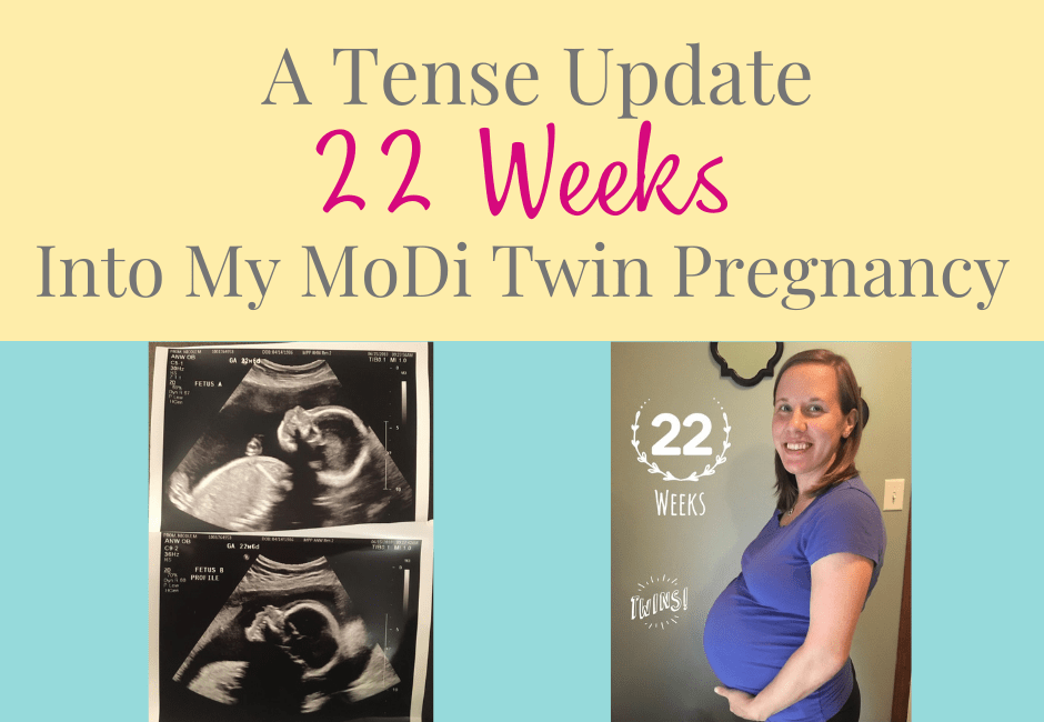 22 weeks into my twin pregnancy
