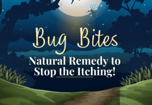 Bug Bites 940 × 650 px