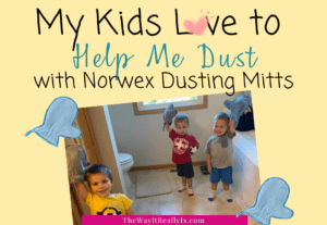 Norwex Dusting Mitts