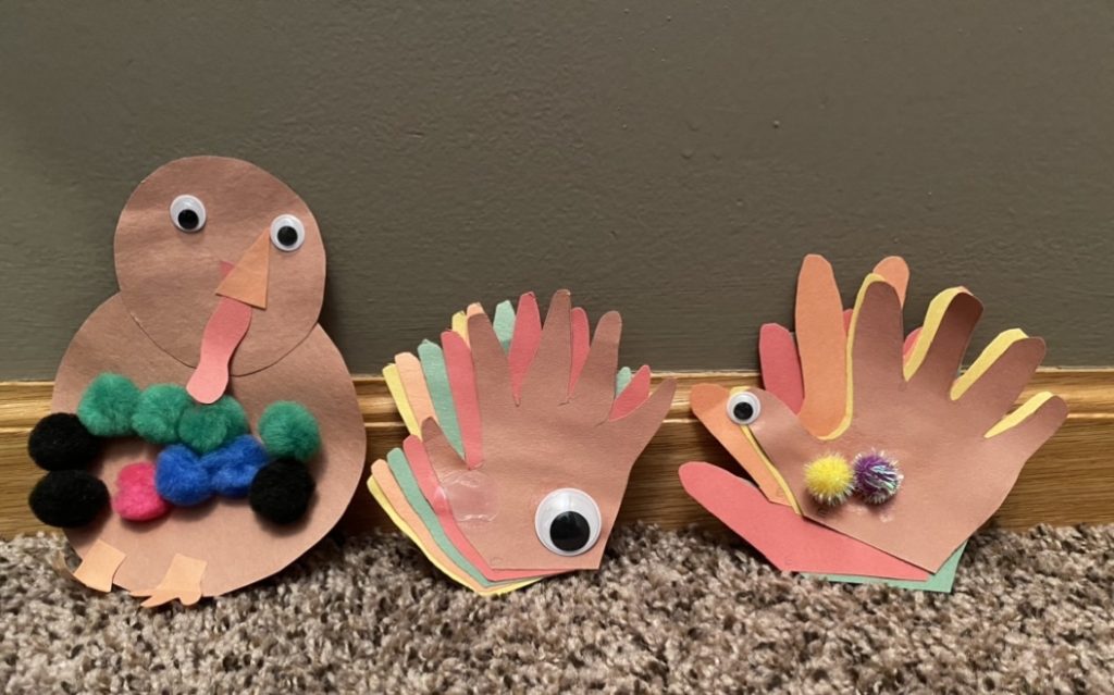 Three various turkeys