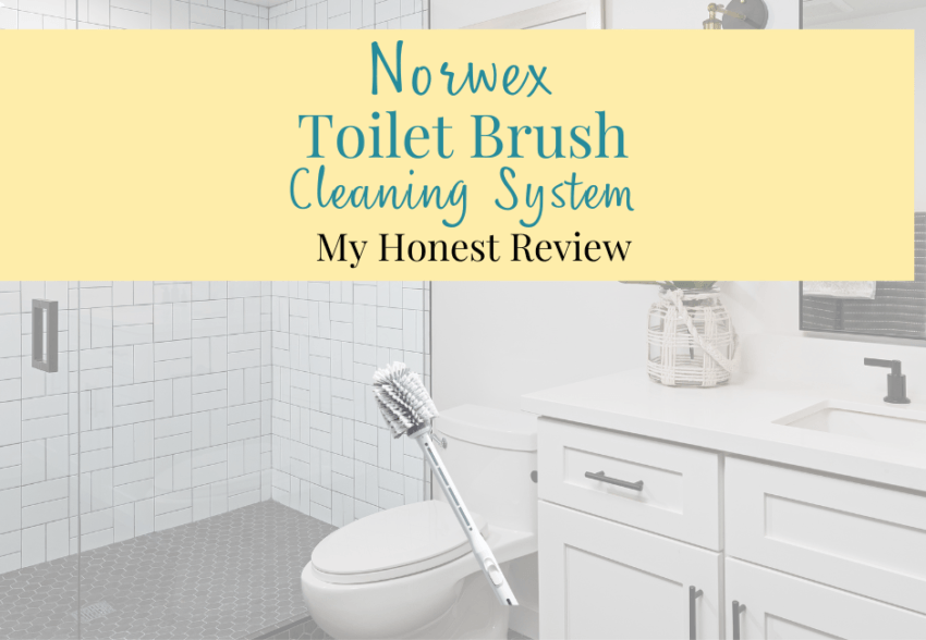 Norwex Toilet Brush with Cleanser Dispenser Honest Review The Way It