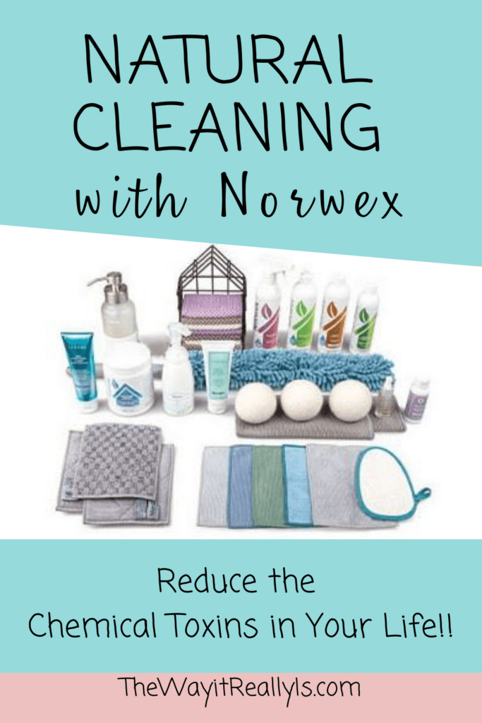 Which Norwex Kitchen Cloth(s) You Need in Your Life - Honest Norwex Reviews