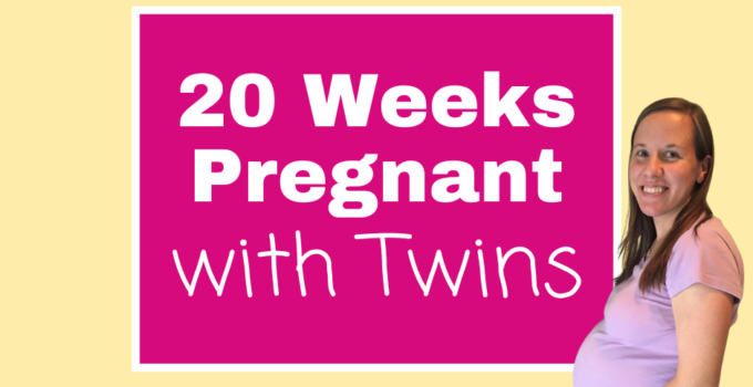 20 weeks pregnant with twins