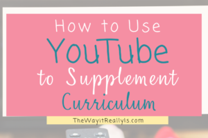 How to use YouTube as a Teaching Tool to Supplement Curriculum
