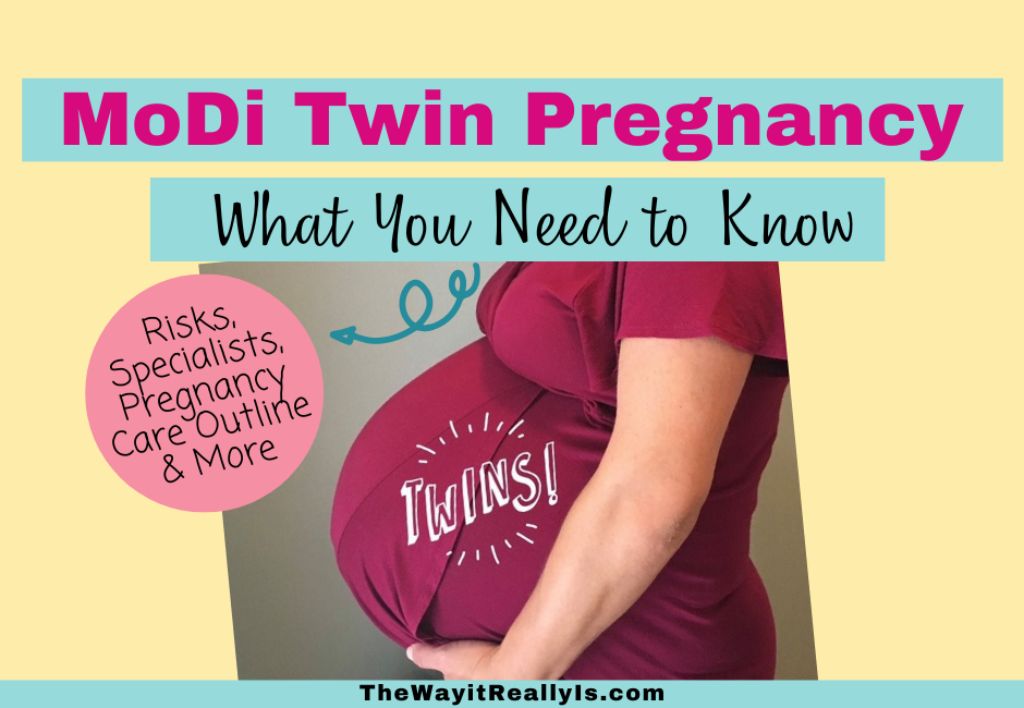 MoDi Twin Pregnancy