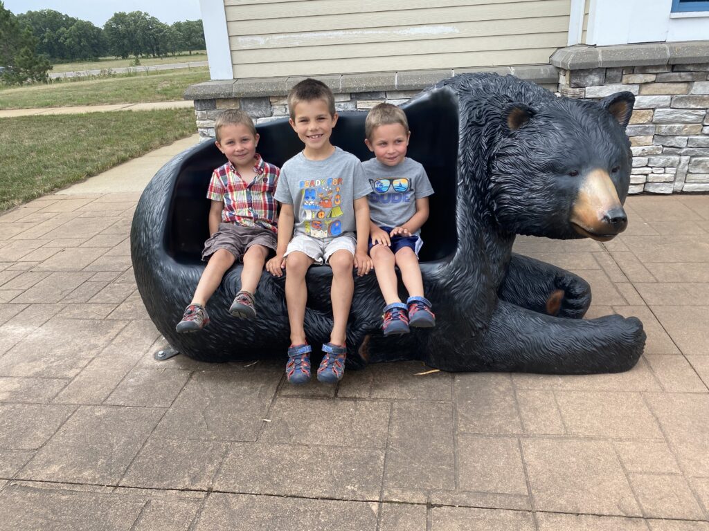 Our 3 little bear cubs