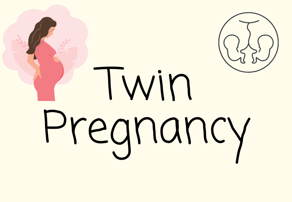 Twin Pregnancy Blog Posts