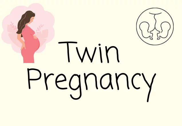 Twin Pregnancy resources