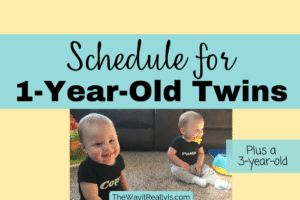 Schedule for 1 Year Old Twins (plus 3 year old singleton)