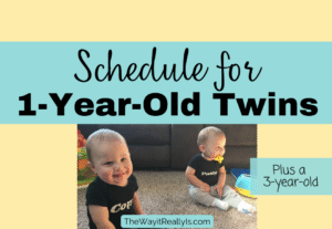 Schedule for 1 year old twins and 3 year old