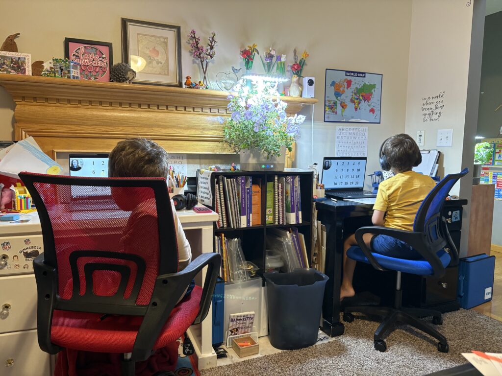 Twins working on their K12 online school at their desks. 